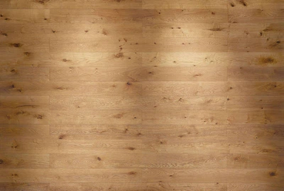 Фото обои Панно KOMAR Oak флизелиновые моющиеся XXL4-027 (368х248 см)