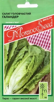 Семена Салат Галандер 0,8 г Тирас Moravo Seed