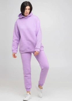 Штаны спортивные женские теплые Мальта Ж478-14 XXL Лиловые