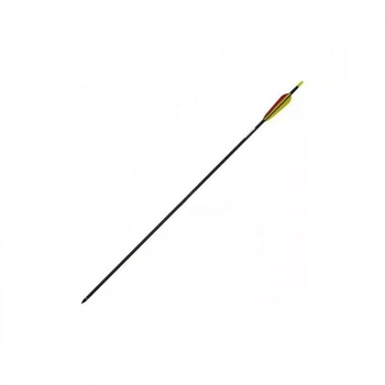 Стрела Poe Lang Carbon 30" Black (D-030B) (279431)