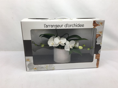 Орхидея L'arrangeur D'orchidee (белая)