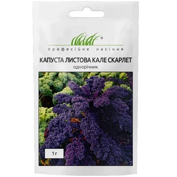Насіння Капуста Кале листова Скарлет / 1 г