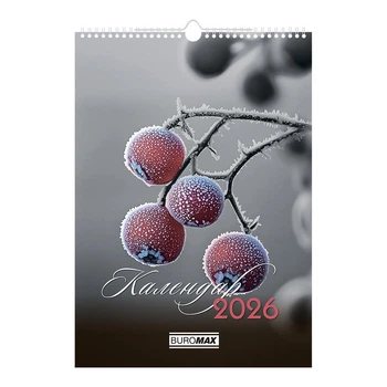 Календарь настенный 2026 Buromax А3 на 1 пружину Emphasis on color (BM.210602)