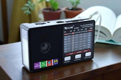 Портативна колонка-радіо Golon акумуляторне з USB, SD та LED-ліхтариком (6688)
