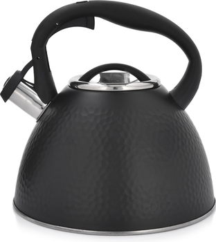 Чайник Ambition Bubble Чорний 2.6 л (5904134960467)