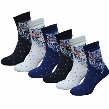 Носки махровые зимние 6 пар Lomani WG 526/6 р.36-40 разноцветные