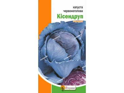 Капуста червоноголова ЯСКРАВА Кісендруп (20 пачок) 0,5г