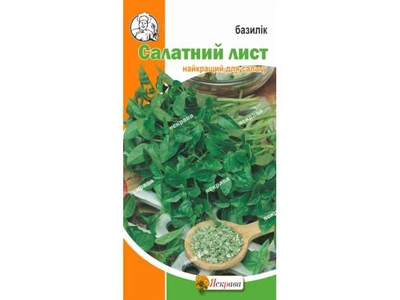Базилік ЯСКРАВА Салатний лист (20 пачок) 0,2г
