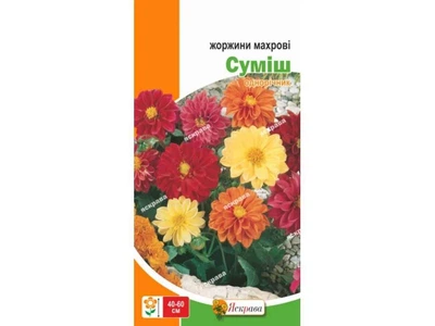 Жоржина ЯСКРАВА махрові високі суміш (20 пачок) 0,3г