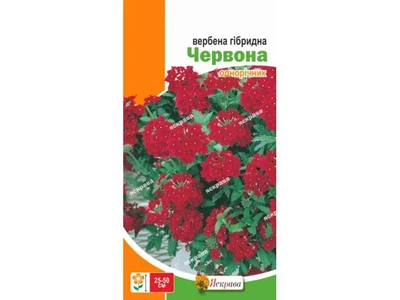 Вербена ЯСКРАВА гібридна Червона (20 пачок) 0,1г