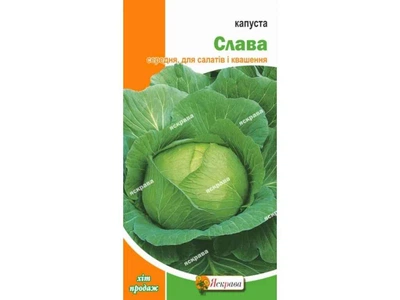 Капуста білокачанна ЯСКРАВА Слава (20 пачок) 0,5г
