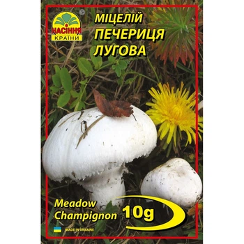 Мицелий грибов Шампиньон луговой 10 г (Насіння країни)