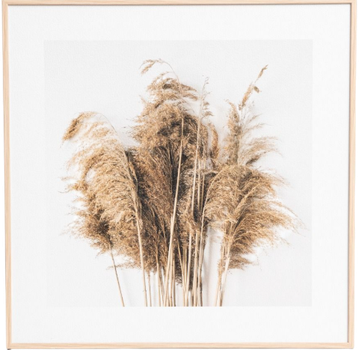 Картина Homla сухоцвіти 30 x 30 см (5906496757679)