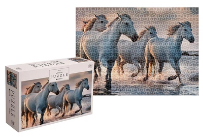 Пазли тришарові Wild Horses4 1000 деталей Interdruk 384997