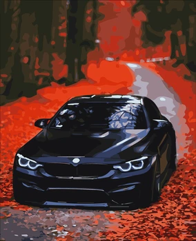 Картини за номерами BMW 40*50 см (PN9652)
