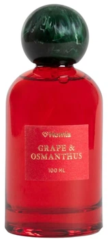 Spray do pomieszczeń Homla Colour Blocks perfumowany Grape Osmanthus 100 ml (5906496731945)