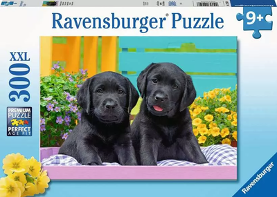 Пазл Ravensburger Улюбленці 300 елементів 12950 (4005556129508)