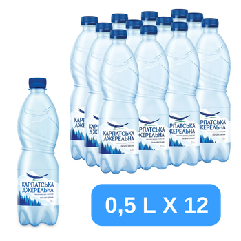 Вода мінеральна Карпатська Джерельна сильногазована 0,5 х 12шт