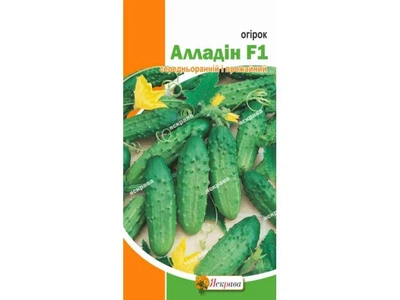 Огірок ЯСКРАВА Алладін F1 (20 пачок) 0,5г