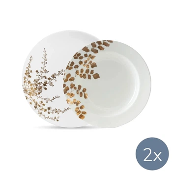 Столовий сервіз Wedgwood Vera Wang Jardin (40033715 + 40033719)