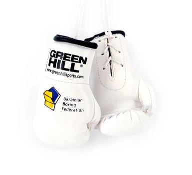 Перчатки бокс сувенирные GREEN HILL MINI золотистый white