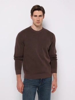 Джемпер чоловічий Colin's CL1076739BRW L Brown (8684112957739)