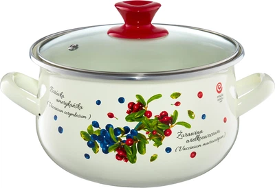 Каструля Emalia Olkusz Borówka емальована Біло-червона 22 см 5.7 л (5904134230287)