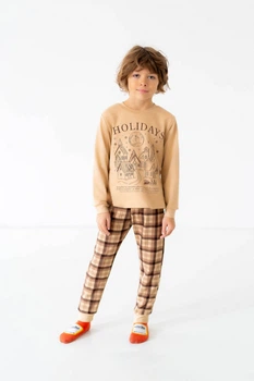 Теплая пижама для мальчика Stylebaby (2483-09НМбеж) Рост 116 см Бежевый