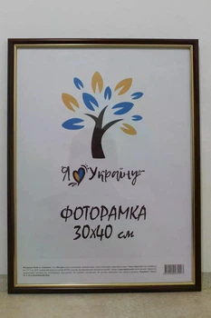 Фоторамка Алан 30х40 см світло-коричнева із золотою вставкою багет 1515 Оргскло