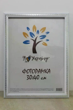 Фоторамка Алан А3 30х40 см біла зі срібною змійкою багет 2416
