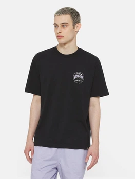 Футболка довга бавовняна чоловіча Dickies DK0A4YR2BLK1 L Чорна (800070321198)