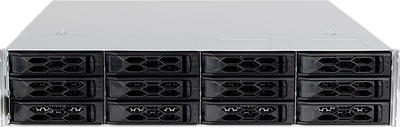 Serwer Bluechip SERVERline R52316s (4250749710067)