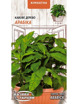 Кофейне дерево "Арабіка" ТМ "Насіння України" 1 г.