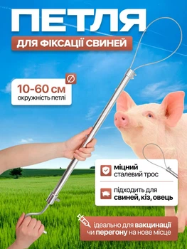 Фиксатор для свиней