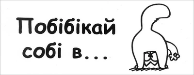 Магнітна наліпка на авто "Побібікай собі в..."