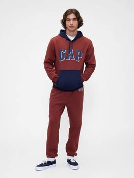Спортивний костюм чоловічий утеплений GAP 504151172 2XL Коричневий (1159848177)