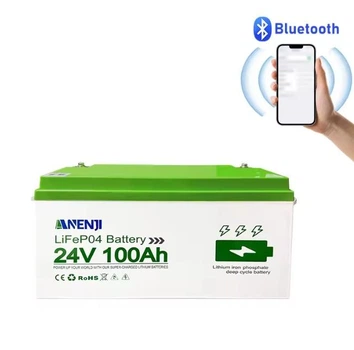 Аккумуляторная батарея Anenji LiFePO4 25.6V 100Ah 2560Wh ANJ-24V-100AH-HL with Bluetooth 6000+ циклов