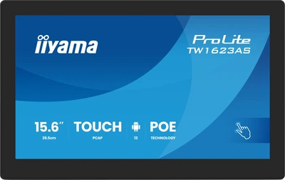 Монитор Iiyama TW1623AS-B3P