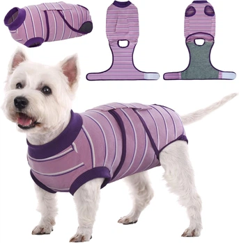 Восстановительная попона для собак Wan Talk Recovery Suit, Violet Stripe, XS