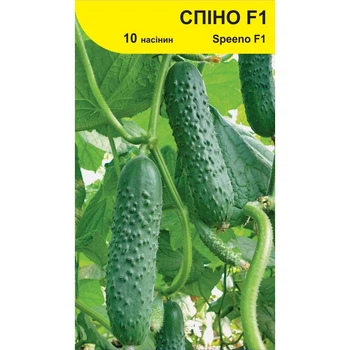 Семена огурца Спино F1, Syngenta, 10 шт.