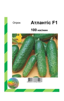 Семена огурца Атлантис F1, Bejo Zaden, 100 шт.