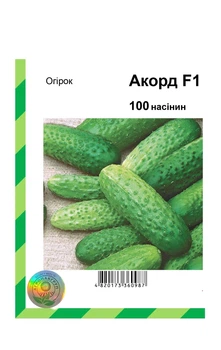 Семена огурца Акорд F1, Bejo Zaden, 100 шт.