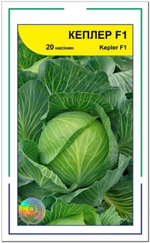 Семена капуста белокачанная Кеплер, Syngenta, 20 шт.