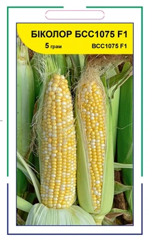 Семена кукурузы сахарной Биколор БСС 1075 F1, Syngenta, 5 г.