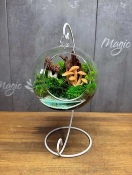 Флорариум с мохм на подставке 15х23 см