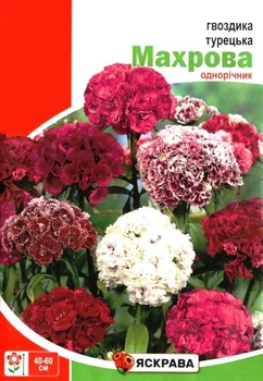 Семена гвоздики Турецкая махровая Яскрава 3г