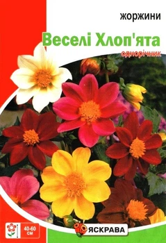 Семена георгин Веселые Ребята Яскрава 2г