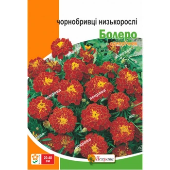 Насіння чорнобривців низьких Болеро Яскрава 5г