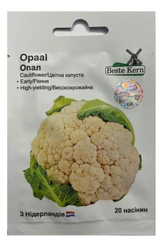 Насіння Капуста цвітна Опал 20 насінин, Beste Kern