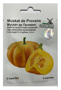 Насіння Гарбуз Мускат де Прованс 5 насінин, Beste Kern